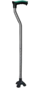 Walking Aids (Canes, Walkers)