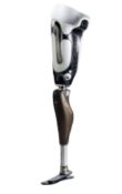 Prosthetic Limbs